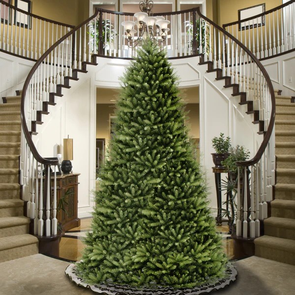 12 feet & Taller Christmas Trees