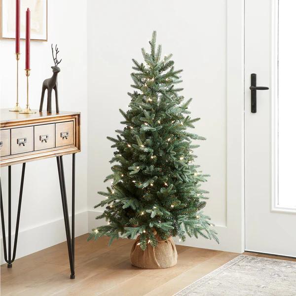 Under 5 feet Christmas Trees