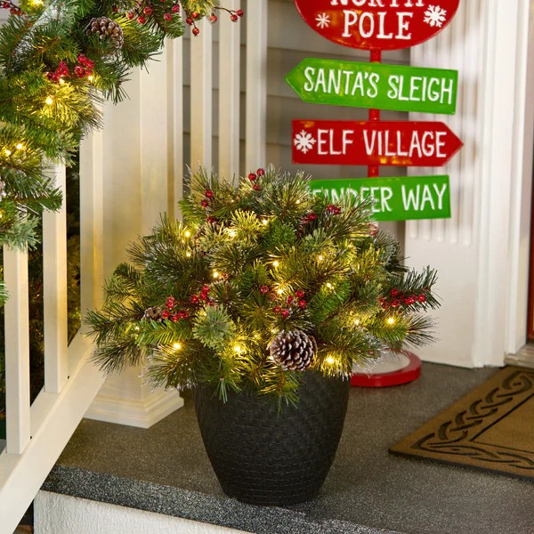 Christmas Greenery