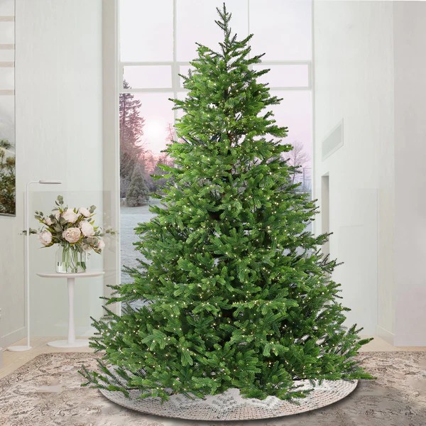 Christmas Trees on Clearance